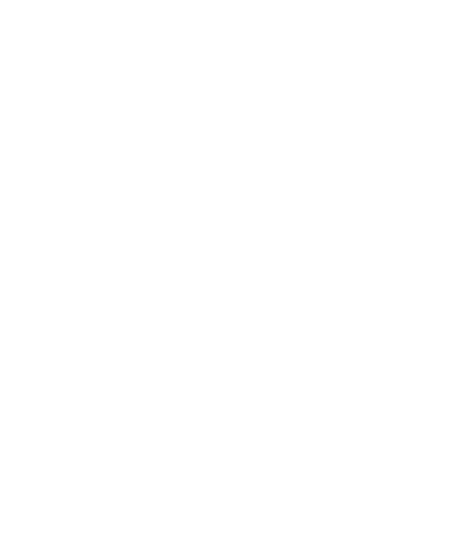 TSS Paratransit arrows
